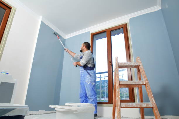 Best Fire-Damaged Drywall Repair  in Princeton, FL